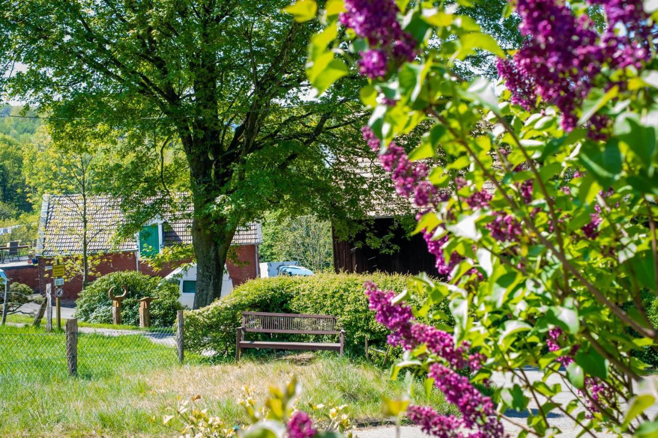 Cruwzo I Apartment With Garden Elberfeld Wuppertal Eksteriør billede